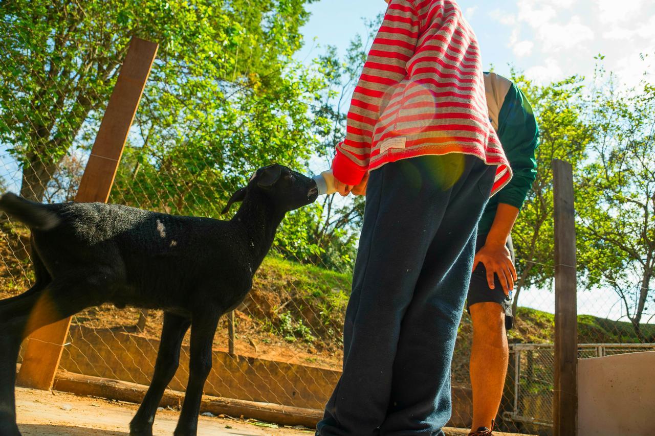 Hotel Fazenda Fonte Colina Verde เซาเปโดร ภายนอก รูปภาพ