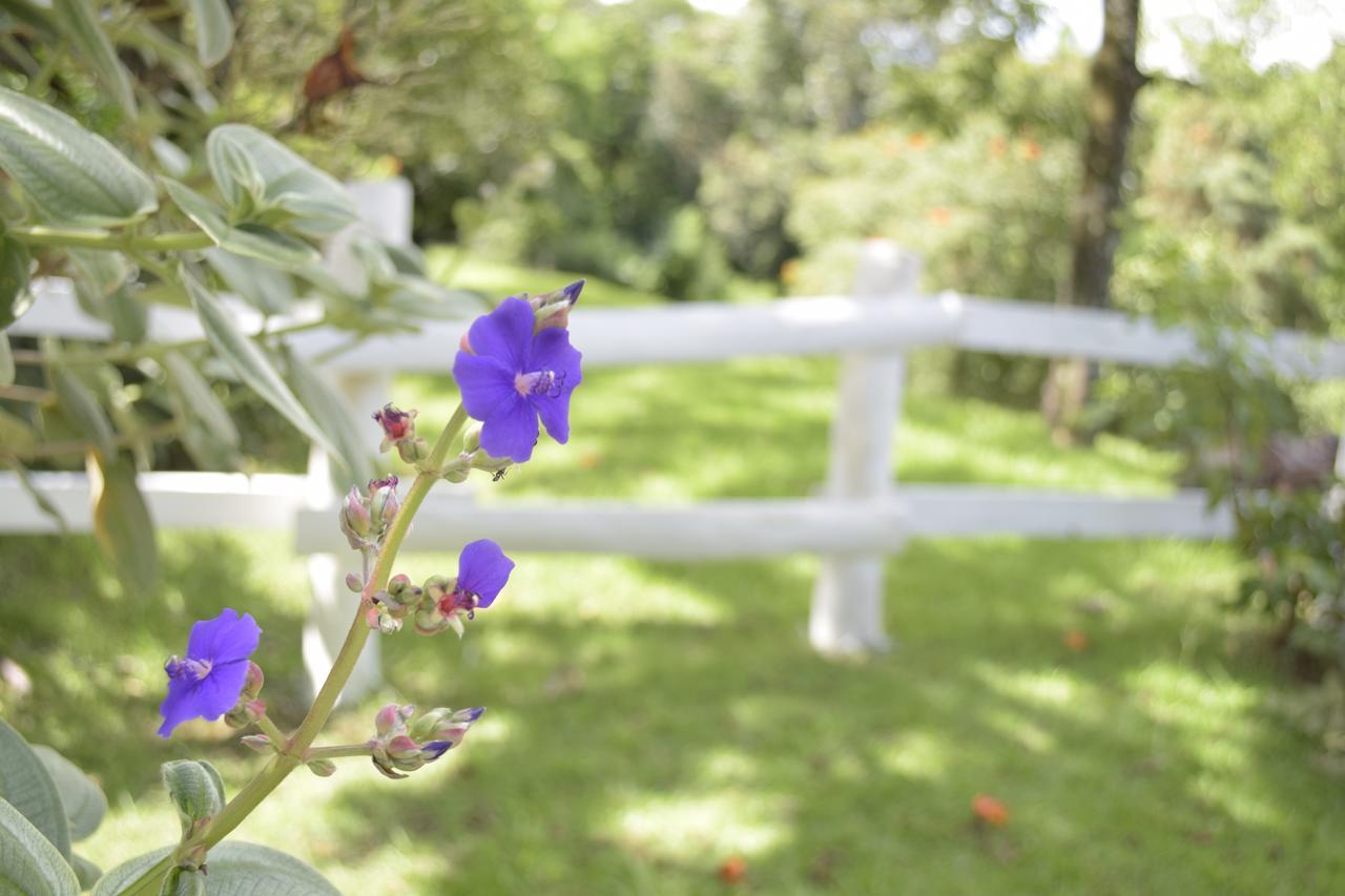 Hotel Fazenda Fonte Colina Verde เซาเปโดร ภายนอก รูปภาพ